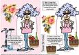 Stella and Her Exercise Bike Quick Card
