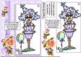 Stella Used to Pull All-nighters Quick Card