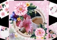 8x8 Summer flowers with tea and flowers mini kit