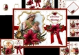 Festive amaryllis with Madona and child choice of scenes mini kit