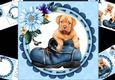 8x8 puppy in boot mini kit