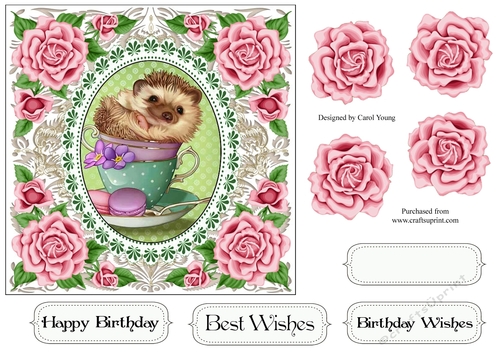Pretty Rose Frame Hedgehog