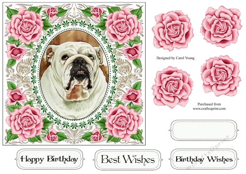Pretty Rose Frame Bulldog
