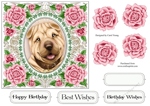 Pretty Rose Frame Shar Pei