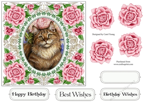 Pretty Rose Frame Tabby Cat