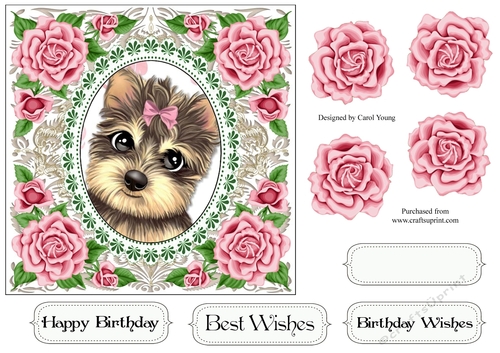 Pretty Rose Frame Yorkie