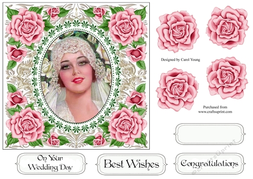 Pretty Rose Frame Vintage Bride 2