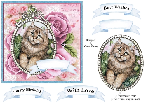 Jewelled Cameo 10 Cat