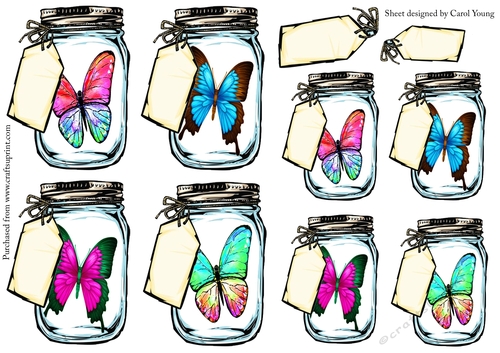 Butterfly Jars