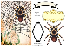 Spider Card Front