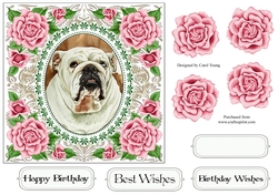 Pretty Rose Frame Bulldog