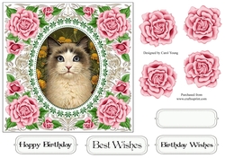 Pretty Rose Frame Siamese