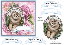 Jewelled Cameo 10 Cat