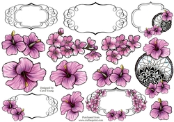 Pretty Hibiscus A