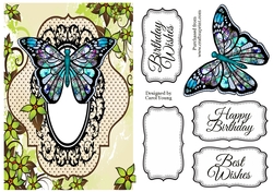 Butterfly6