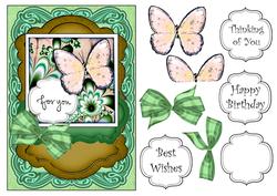 Butterfly Quick Card