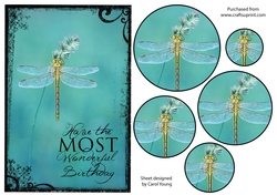 Beautiful Dragonfly Birthday