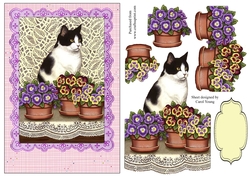 Cat and Pots