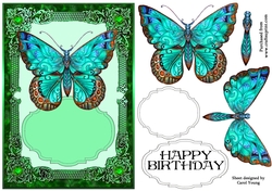 Big Butterfly 1