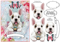 Lacy Frenchie