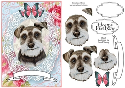 Lacy Terrier