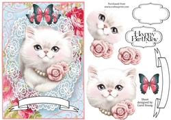 Lacy White Cat