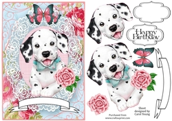 Lacy Dalmation