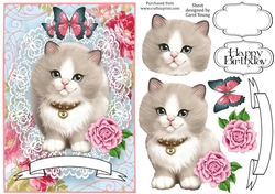 Lacy Grey Cat