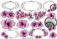 Pretty Hibiscus A