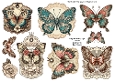Lace Butterfly Tags Sheet 4