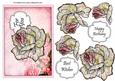 Layered Rose Pink
