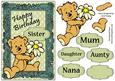 Teddy with Flower Birthday