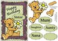 Teddy with Flower Birthday