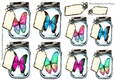 Butterfly Jars