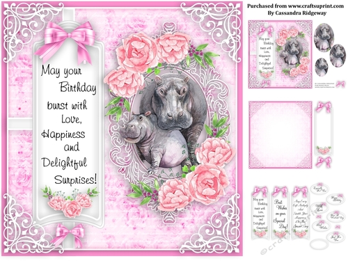 Ladies animal collection birthday kit