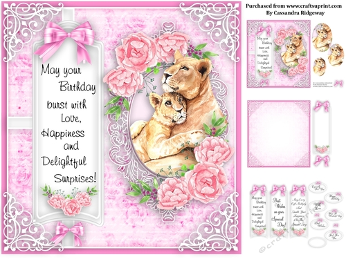 Ladies animal collection birthday kit