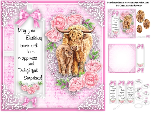 Ladies animal collection birthday kit