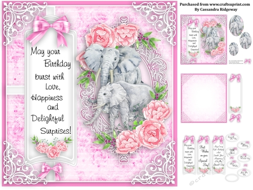 Ladies animal collection birthday kit