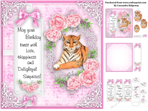 Ladies animal collection birthday kit