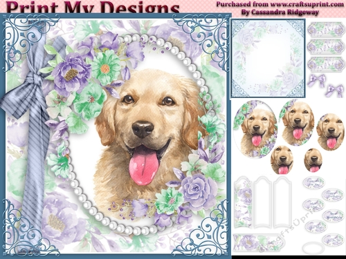 cute Dog collection