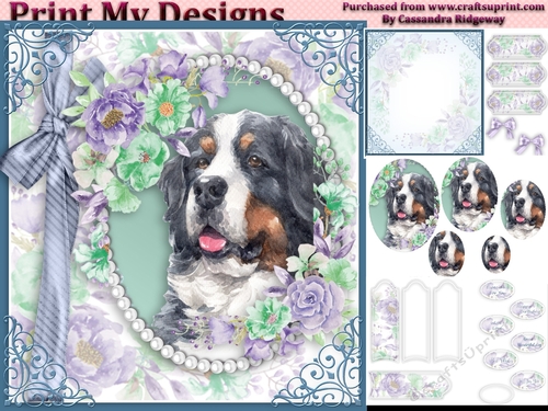 cute Dog collection