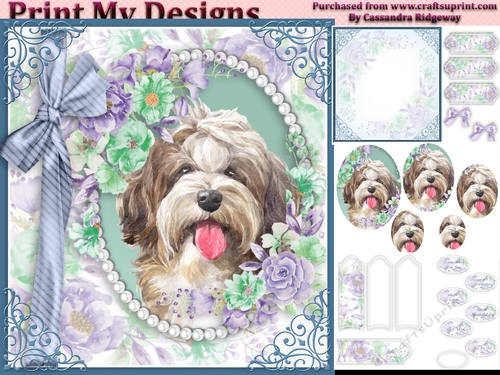 cute Dog collection