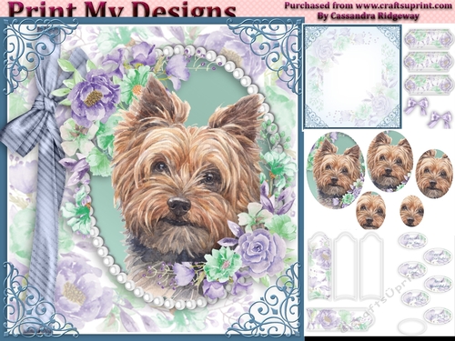 cute Dog collection