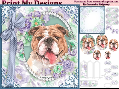 cute Dog collection