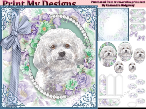 cute Dog collection