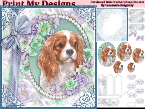 cute Dog collection