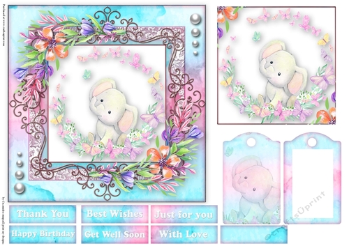 Cute little animal collection with tag