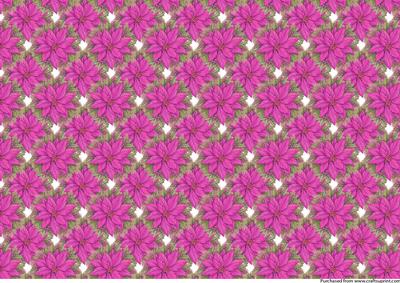 Poinsettia Christmas Background
