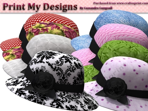 Ladies hats