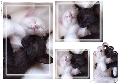 kitty Toppers with tags 